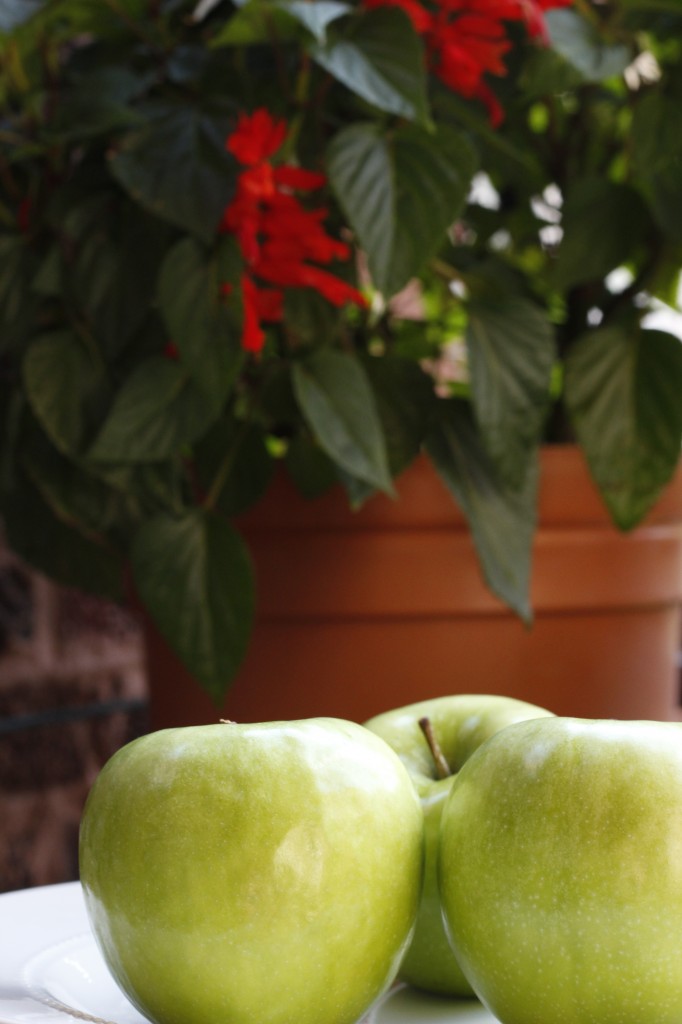 Chunky Apple Cake